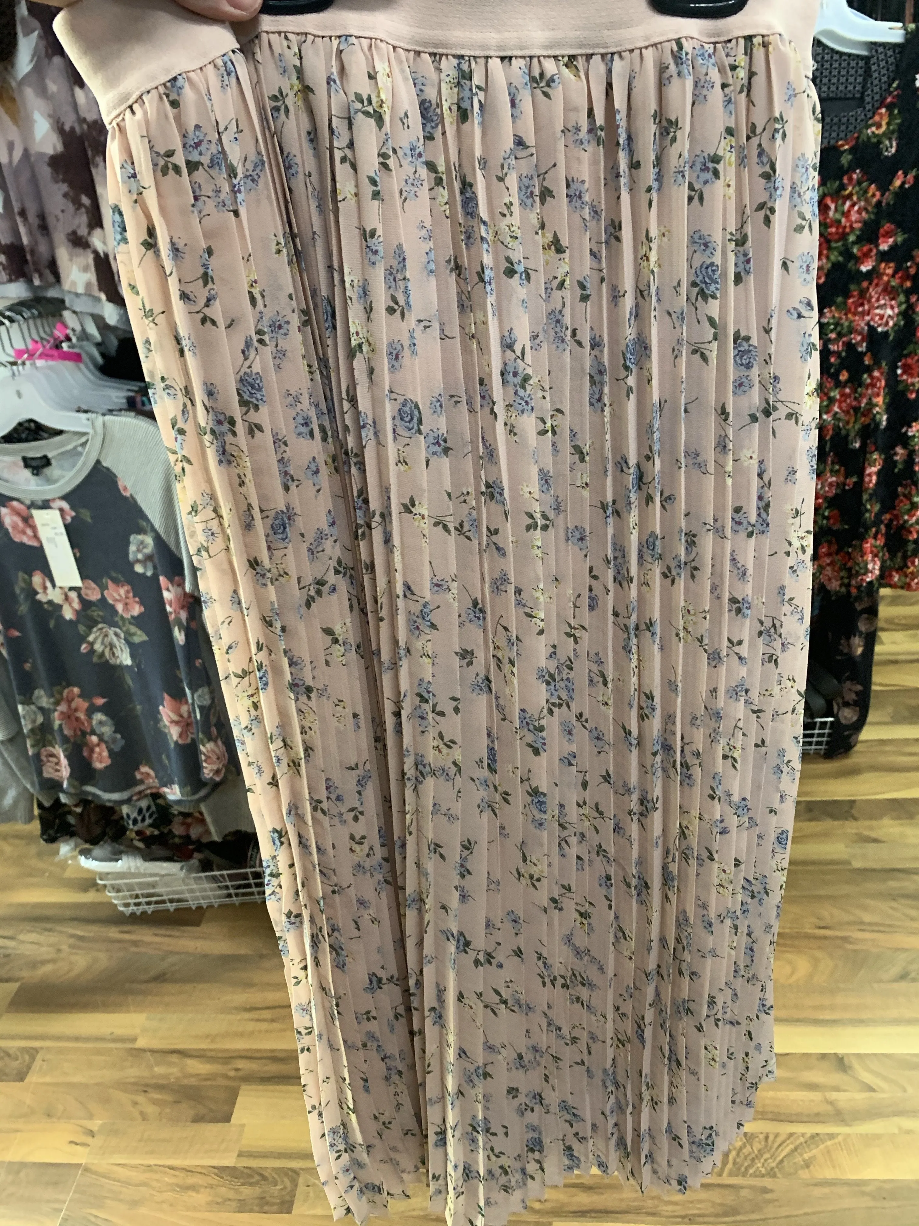 Pleated Chiffon Skirt