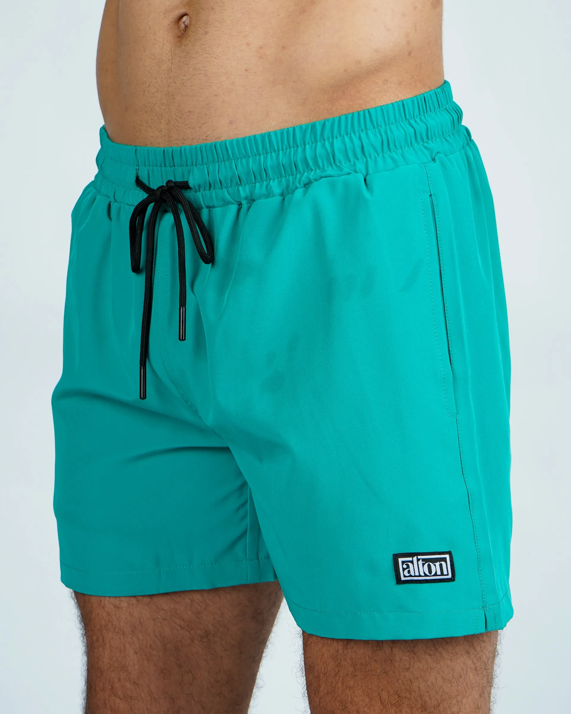 Vibrant 5" Boardshort