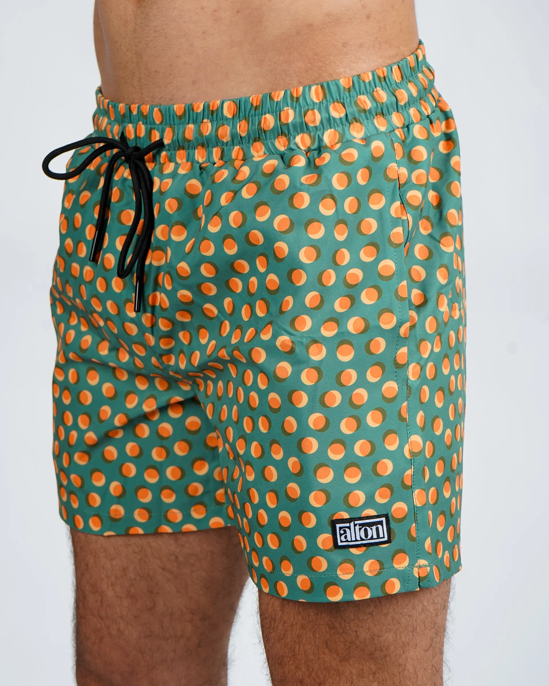 Vibrant 5" Boardshort