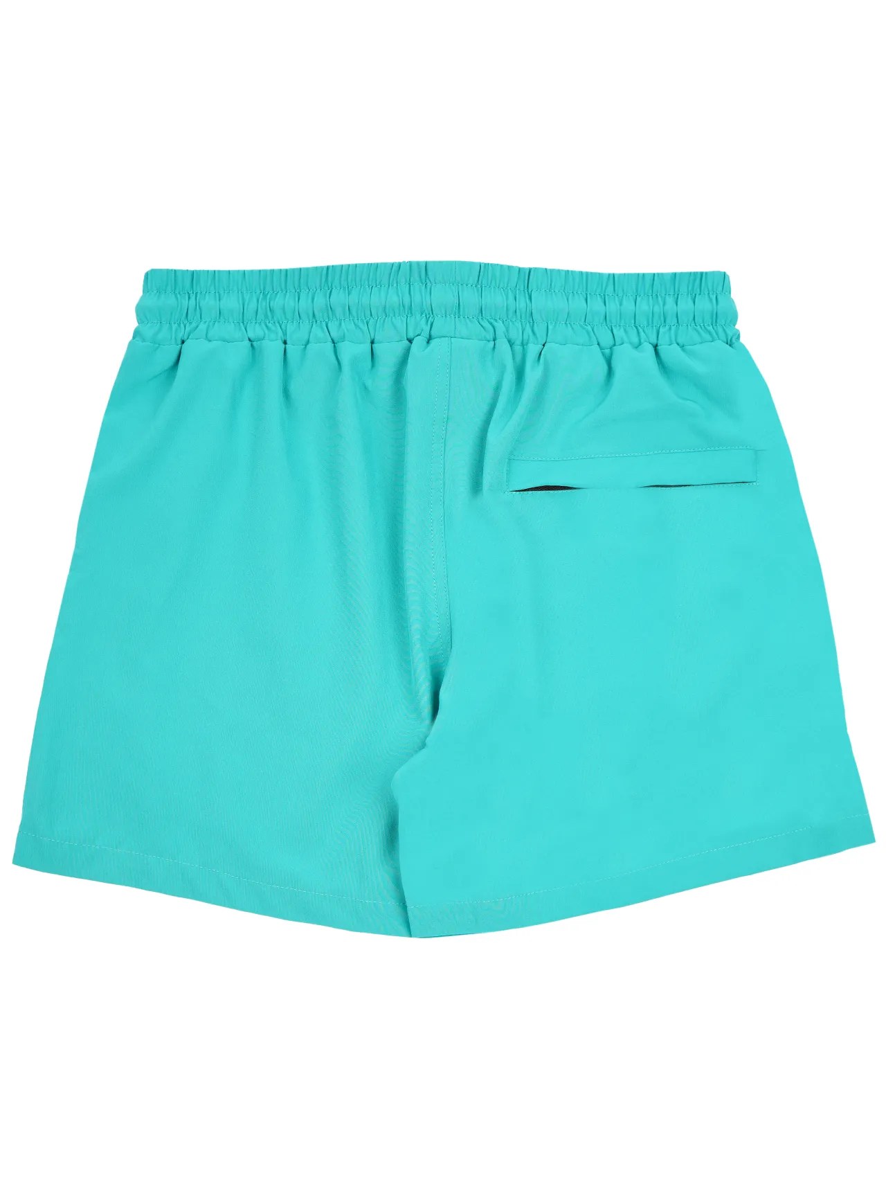 Vibrant 5" Boardshort